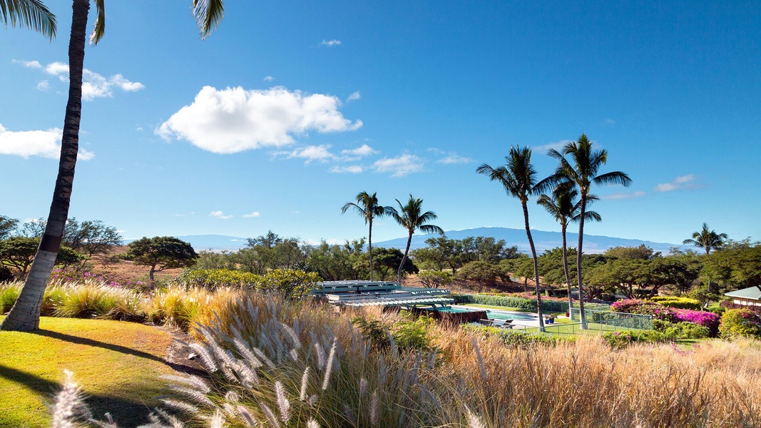 The Kumulani Pool Pavillion is a baseball throw away. Close enough to walk but far enough to not bock your ocean view or hear any one else enjoying it.