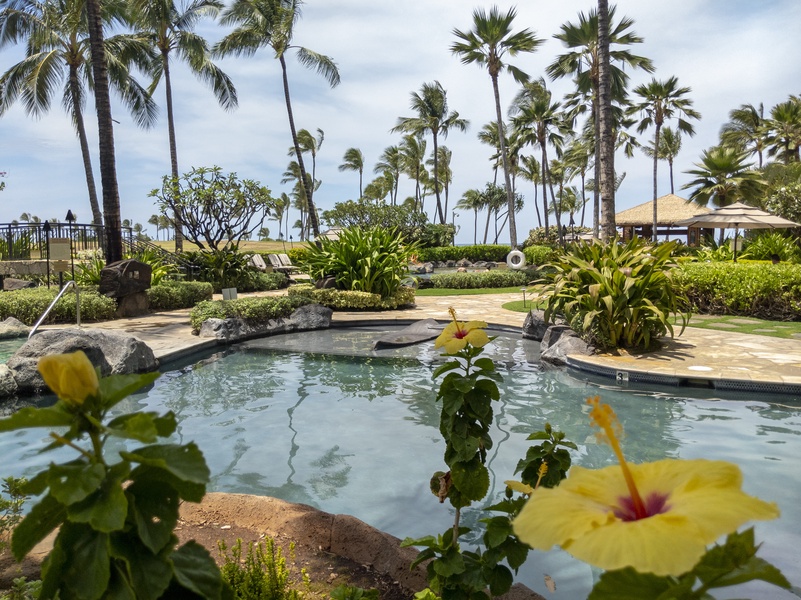 Beautiful landscaping and Hawaiian flowers.