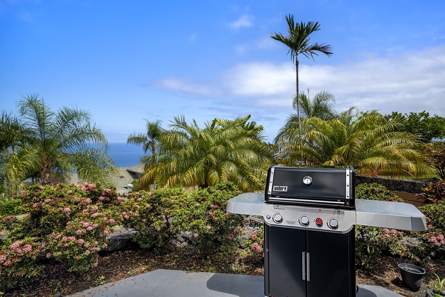 BBQ on the provided Weber grill!