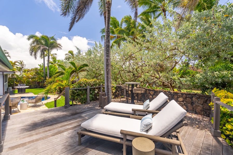 Soak up the sun or sip coffee on the shaded lounge deck surrounded by palms.
