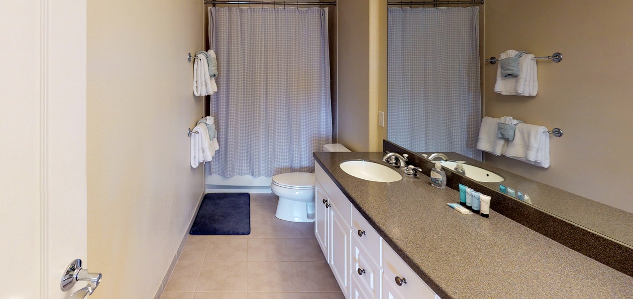 The primary guest bathroom with a large vanity and shower.