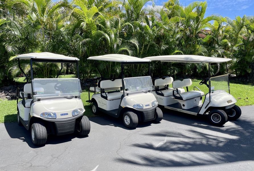 The estate offers two 4-seater golf carts & one 6-seater golf cart for your use