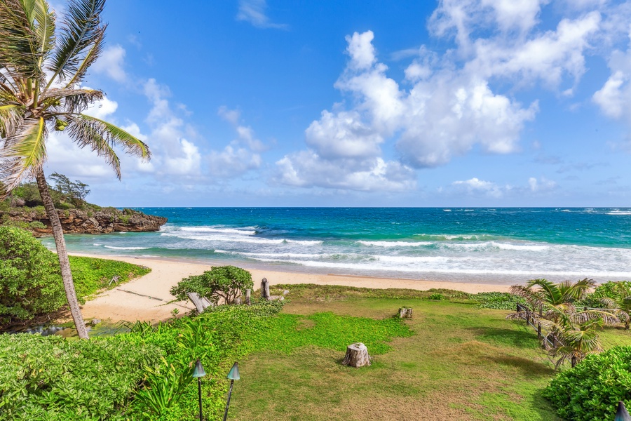 Endless ocean views from a private backyard retreat surrounded by swaying palm trees.