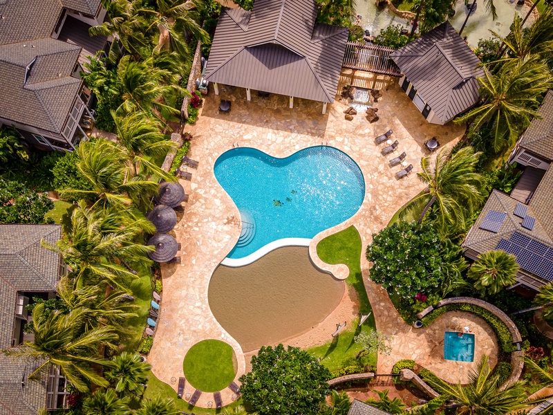 Coconut Plantation Shared Pool Area