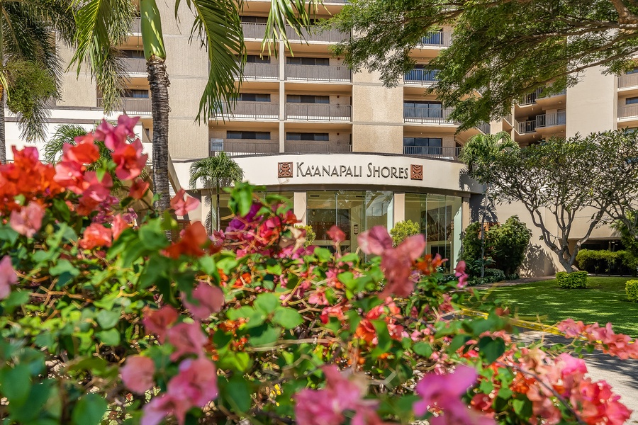 Aloha! Kaanapali Shores welcomes you to your Maui escape.