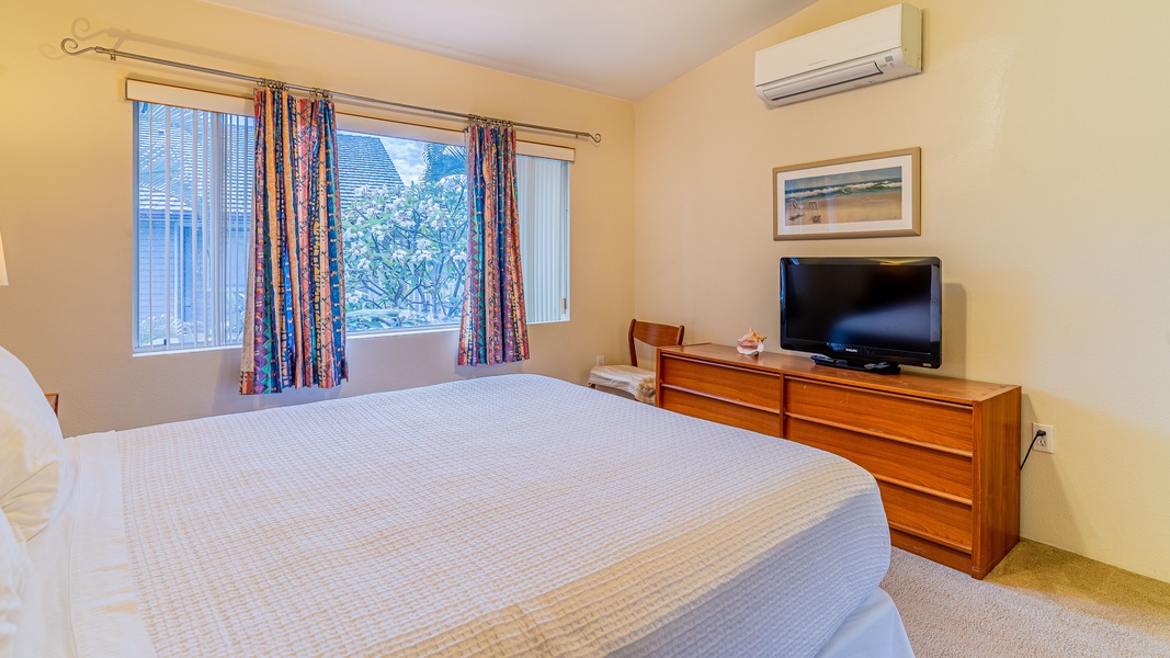 The primary guest bedroom includes a dresser, television and split A/C.