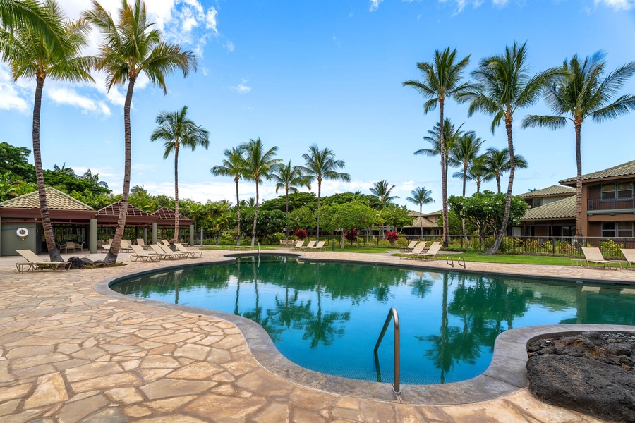 You can lounge and relax in the Pacific sun!