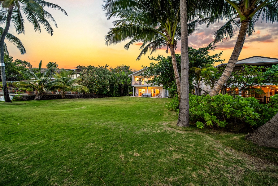 Spacious garden shaded by coconut palms and soft lighting.