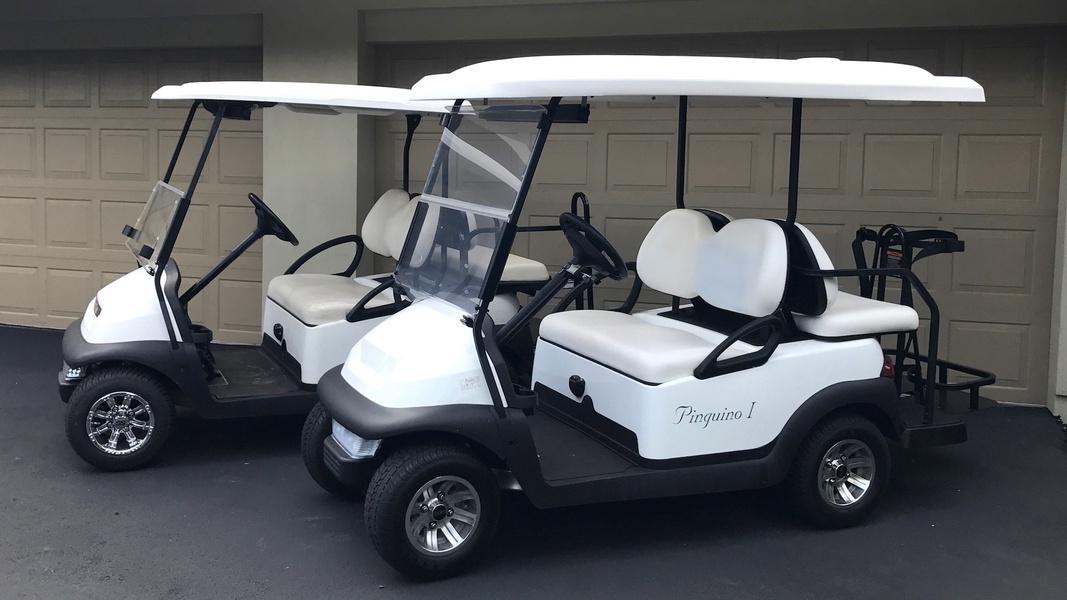 This rental comes with TWO golf carts!