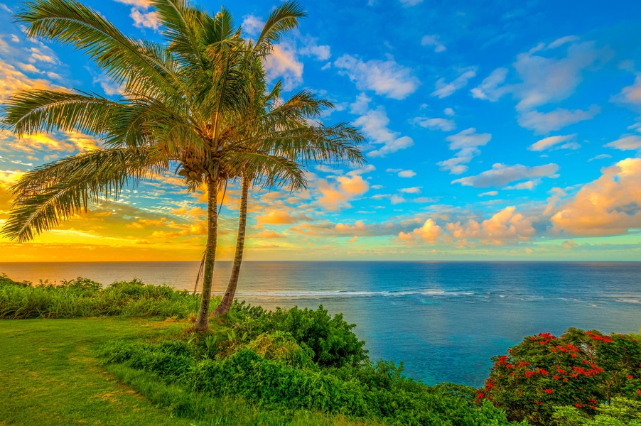 Golden sunset illuminating palm trees and ocean views.