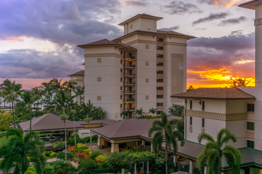 The resort's tropical gardens are perfect for sunset exploration.