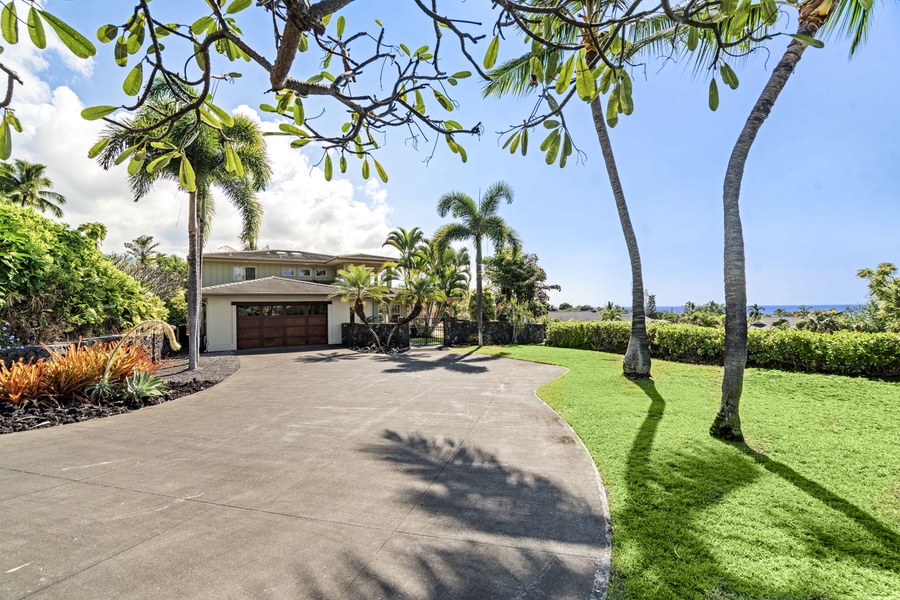 Expansive driveway with palm-lined entry, offering a grand welcome to guests