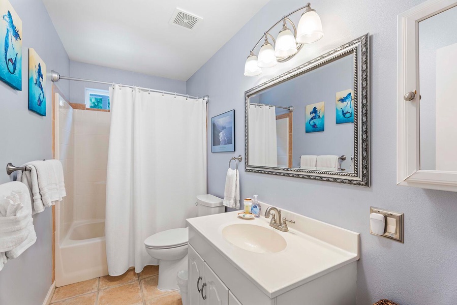 Guest bathroom on ground floor with shower/tub combo.