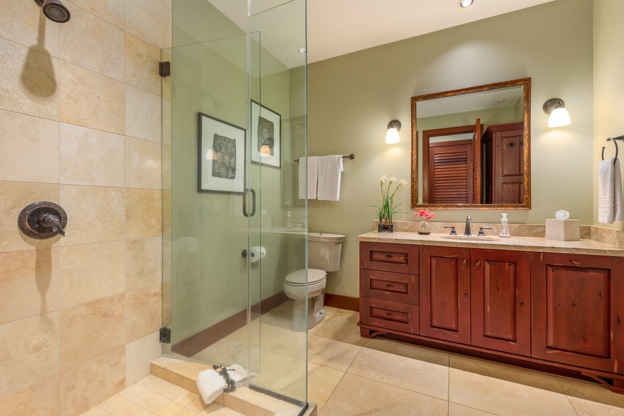 Spacious guest bathroom with walk-in shower and elegant finishes.