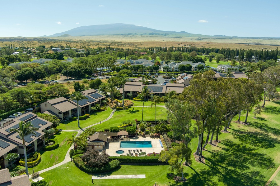 Enjoy a serene environment with meticulously maintained grounds, tropical trees, and sweeping golf course vistas.