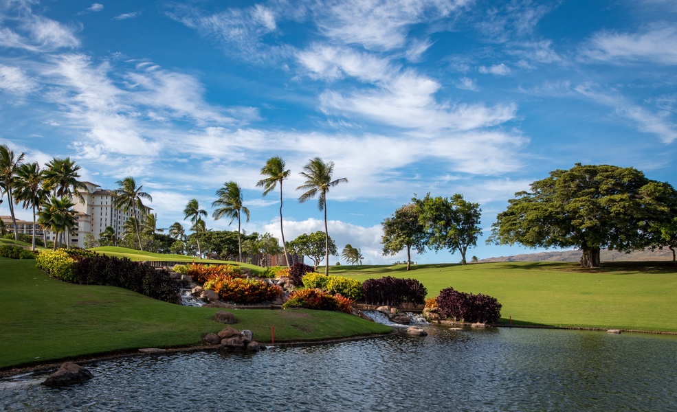 Lush green landscape on the golf course.