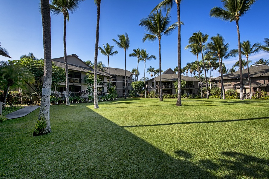 This condominium is situated on the fairway of the Kona Country Club and just a short walk to the renowned Sam Choy restaurant. Kanaloa has everything you desire for your dream Hawaiian vacation stay.