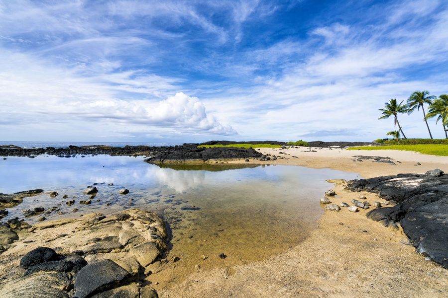 Shallow waters and soft sand—an ideal shoreline for wading, shell hunting, and little swimmers.