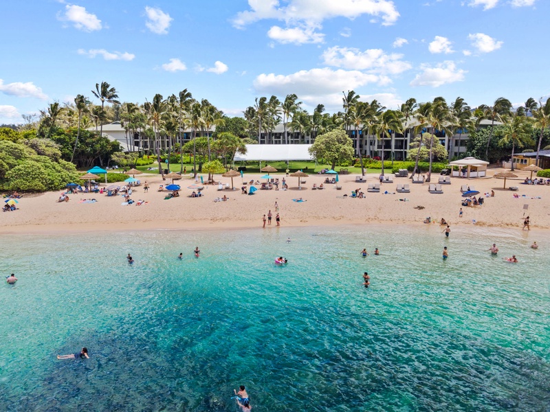 Have a beach day at the nearby lagoon at Turtle Bay