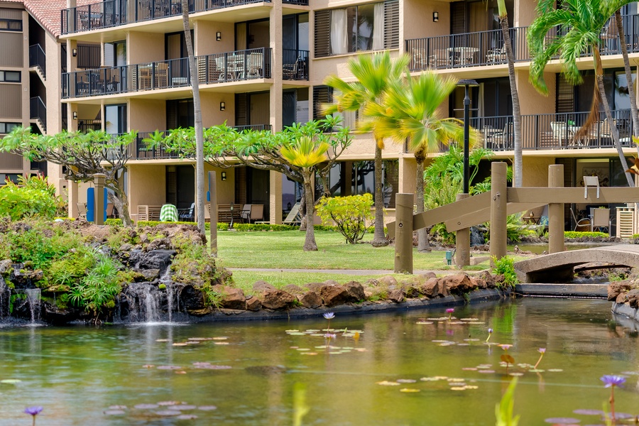 Discover a peaceful pond surrounded by tropical blooms at Papakea K-105.
