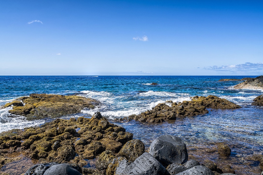 Watch waves crash along the rugged lava rocks from the shoreline.