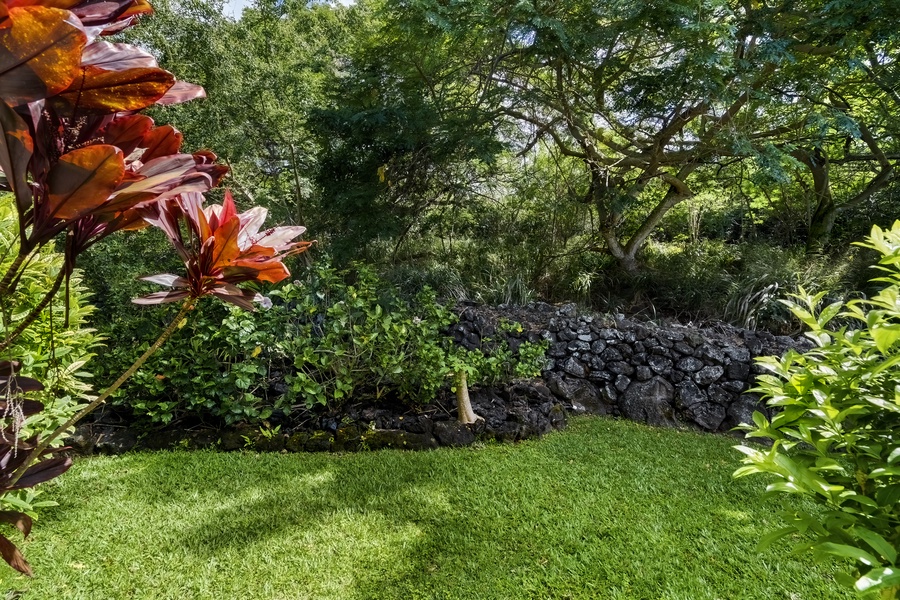 Lush yard with Hawaiian flowers