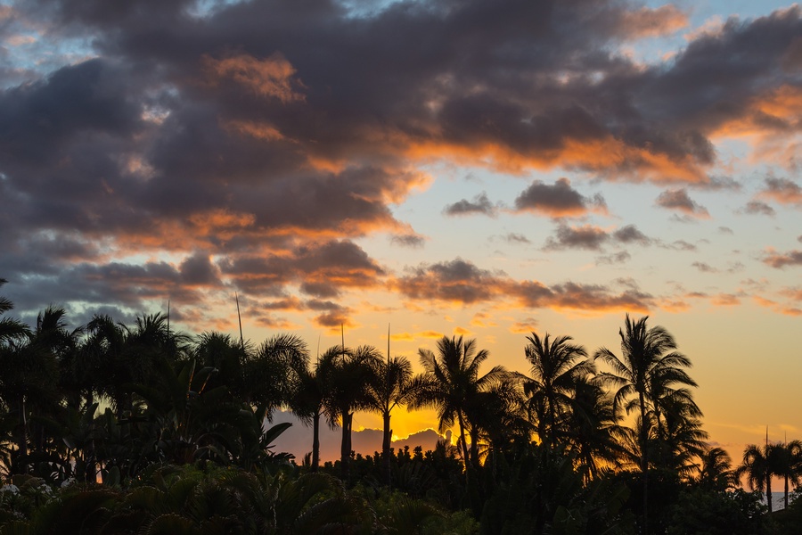 A stunning tropical sunset paints the sky in vibrant orange and pink hues above the swaying palm trees.