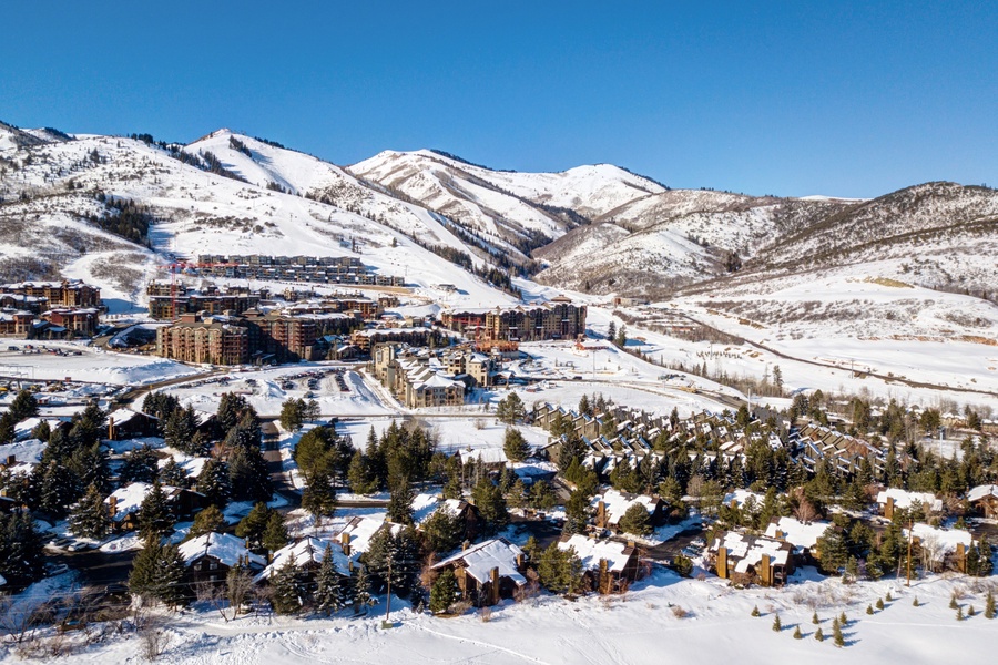 Winter Wonderland