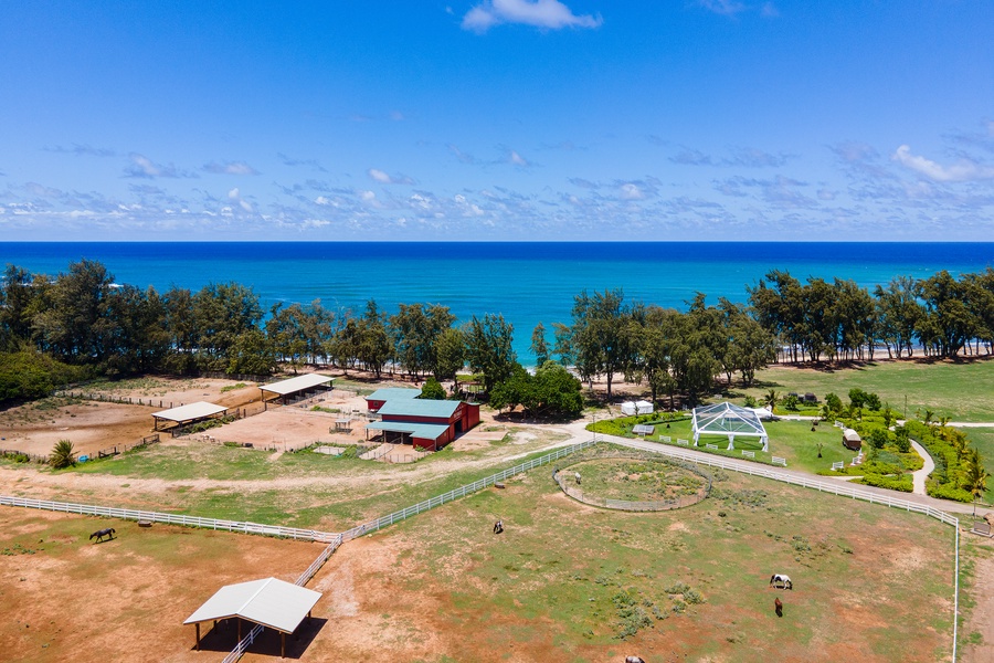 Stables and Oceans views within walking distance.