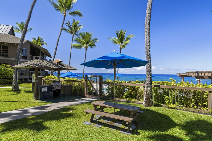 Tropical paradise with ocean-view BBQ area where you'll grill while palm trees sway and waves sparkle beyond your private slice of Hawaii.