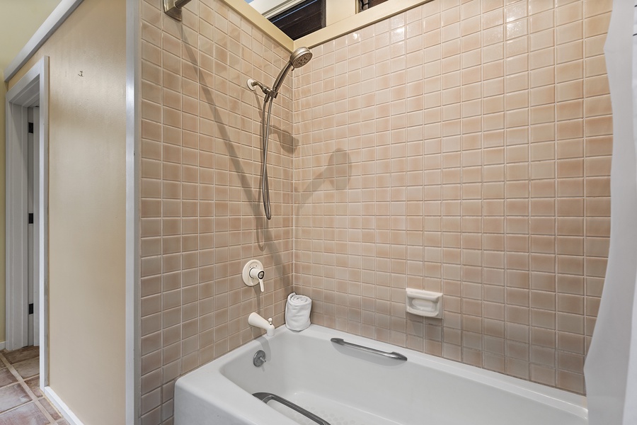 Guest bathroom tub/shower