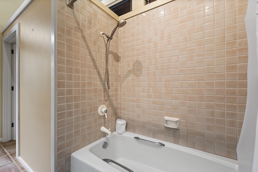 Guest bathroom tub/shower