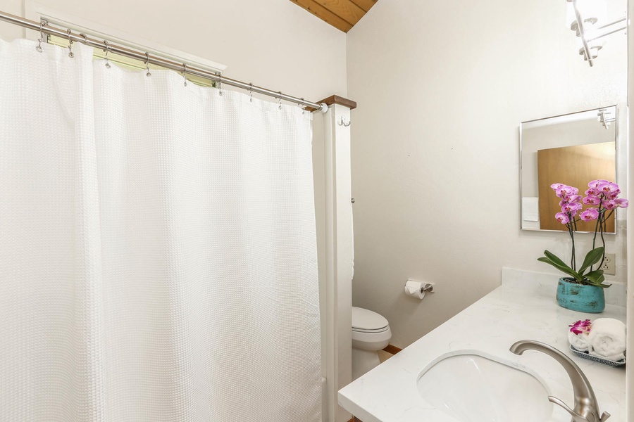 Guest bathroom with tub