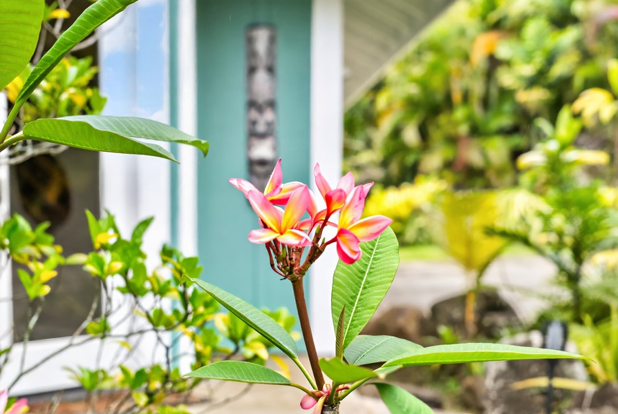 The property sits amid vibrant tropical gardens with pink plumeria and lush greenery creating a serene island atmosphere.