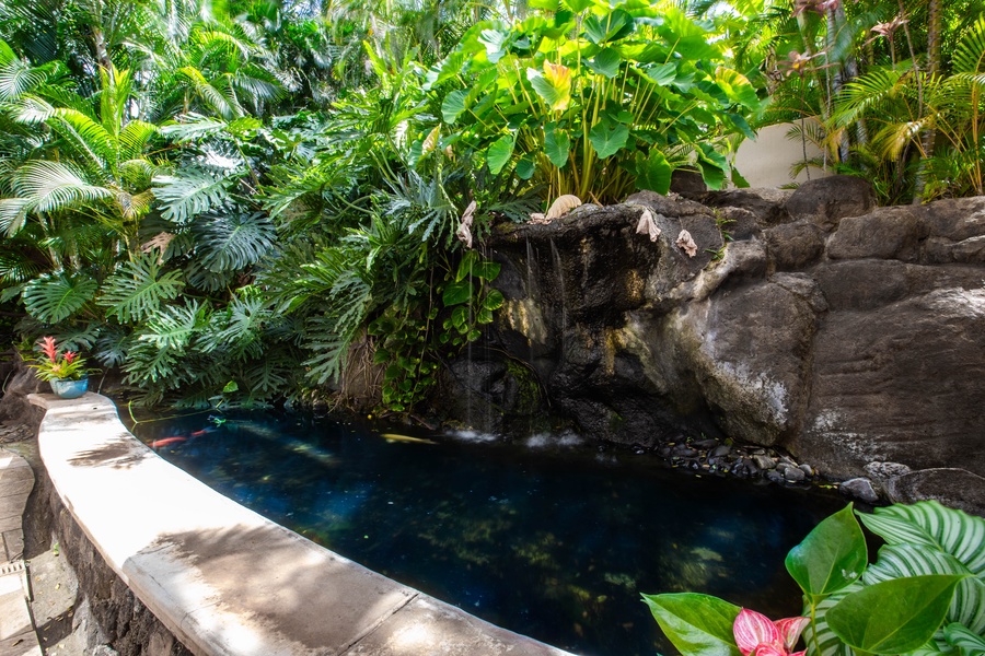 Serene koi pond nestled among lush tropical foliage.
