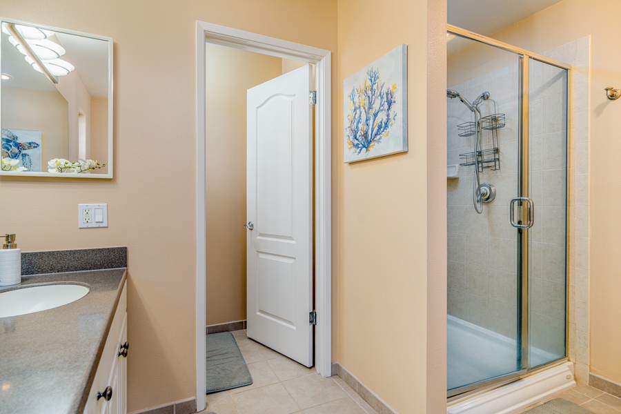 The guest bathroom with a walk-in shower.