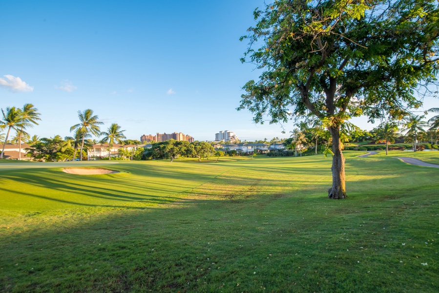 Scenic golf course with lush fairways and tropical palm trees under clear blue skies.
