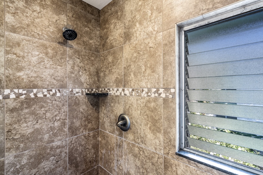 Walk in shower in the guest bathroom