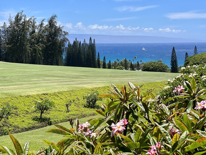 This image showcases a beautifully manicured lawn and lush greenery with a breathtaking view of the ocean in the background