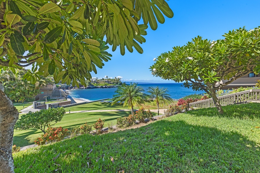 Kahana Sunset B4B's breathtaking ocean views & lush grounds.