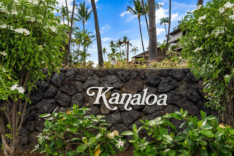 Welcome to Kanaloa at Kona, your oceanfront paradise.