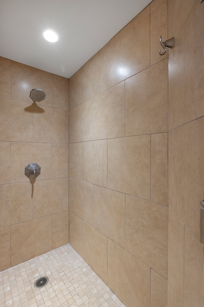 The primary guest bathroom with a walk-in shower and double vanity.
