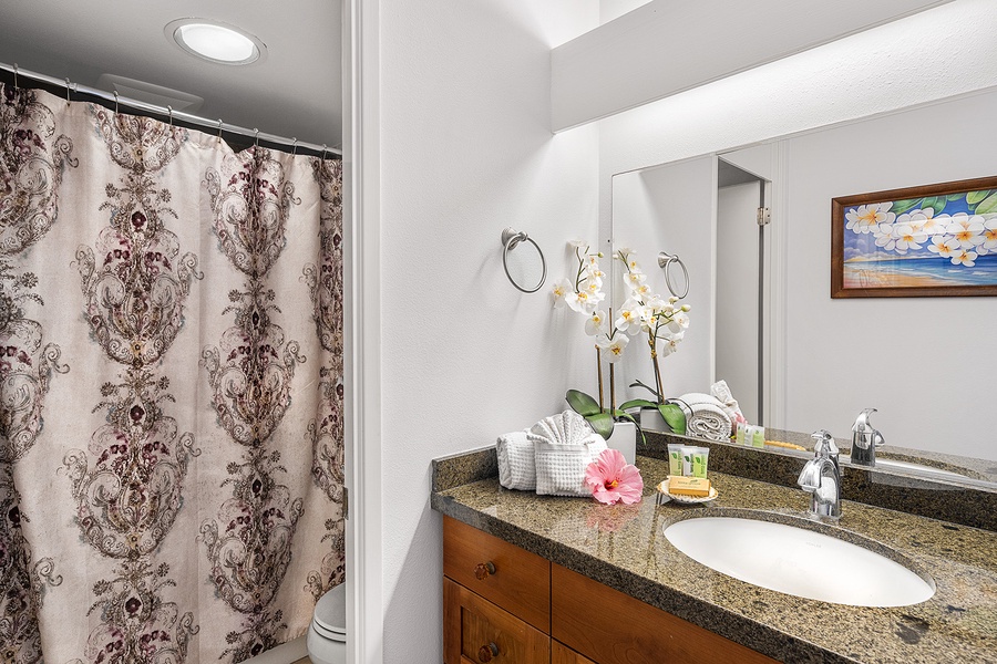 Guest bathroom with tub/shower combo