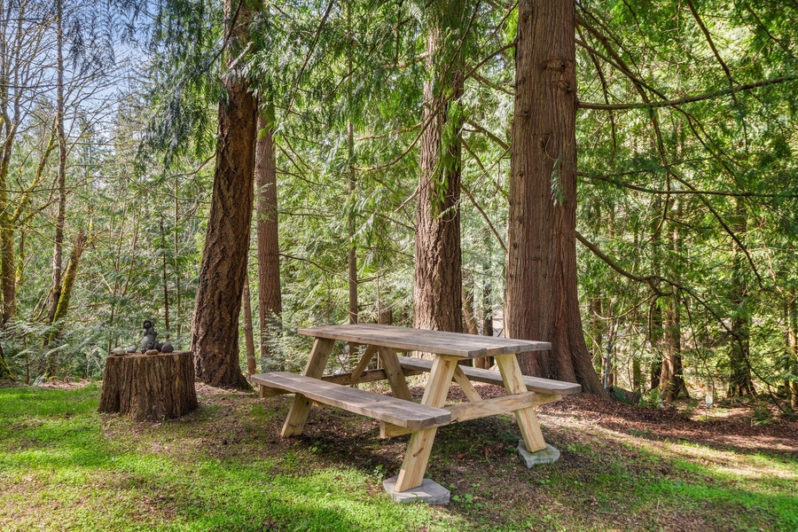 Dine among the evergreens at the forest picnic table—ideal for breakfast, lunch, or board games.