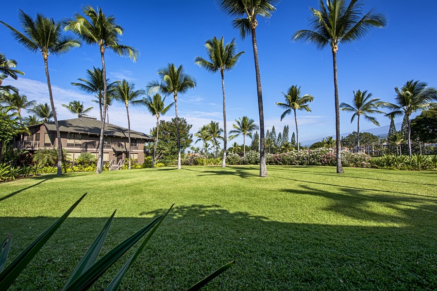 Visit the famous farmers market. Enjoy a shave ice or a cup of Kona coffee. Dine on a light snack or a gourmet meal, buy an inexpensive souvenir or a piece of fine art, book an activity, go for a swim or hang out at the beach.