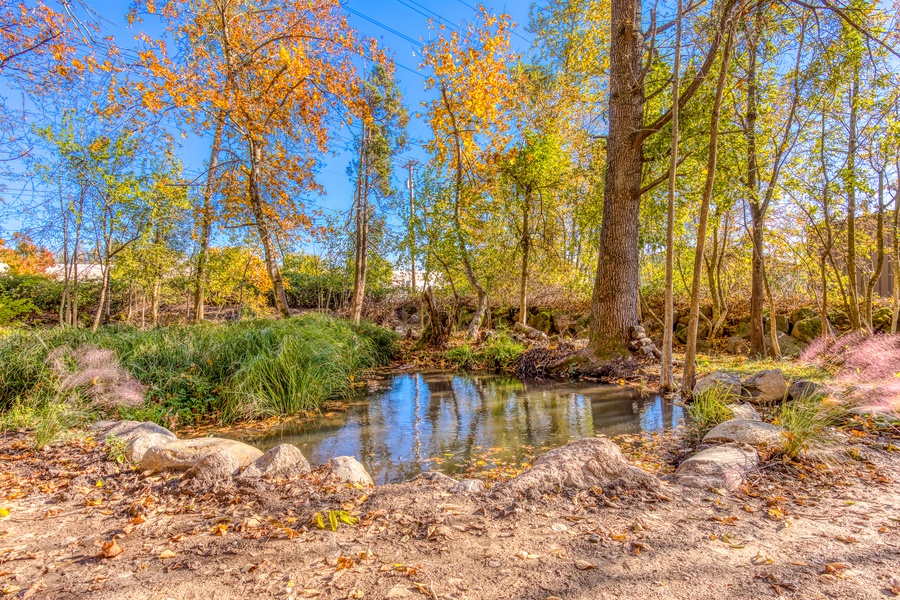 Sit out by the small pond to enjoy nature at its best