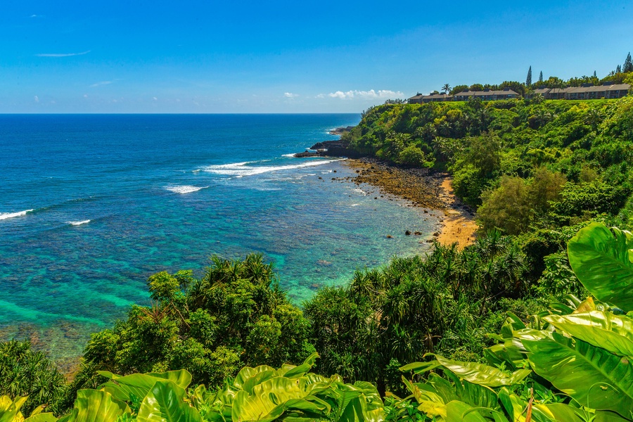 Scenic coastline with vibrant green cliffs meeting the blue ocean.