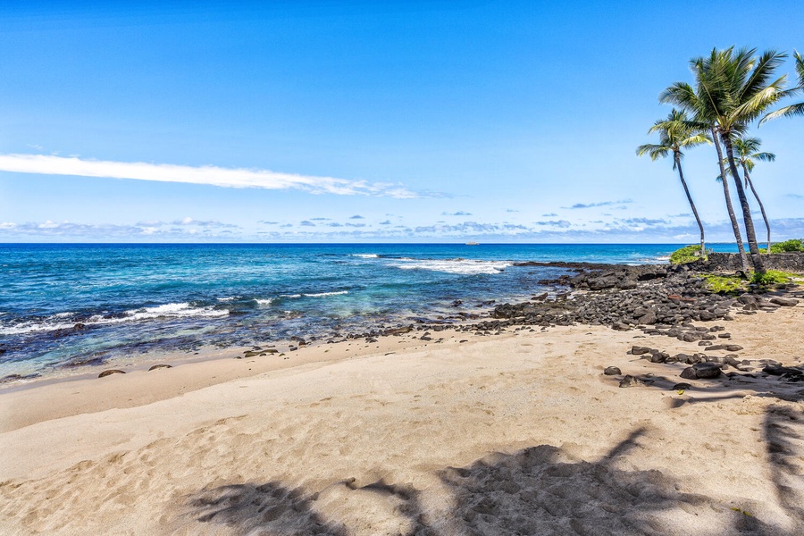 Enjoy a morning stroll on the beach.