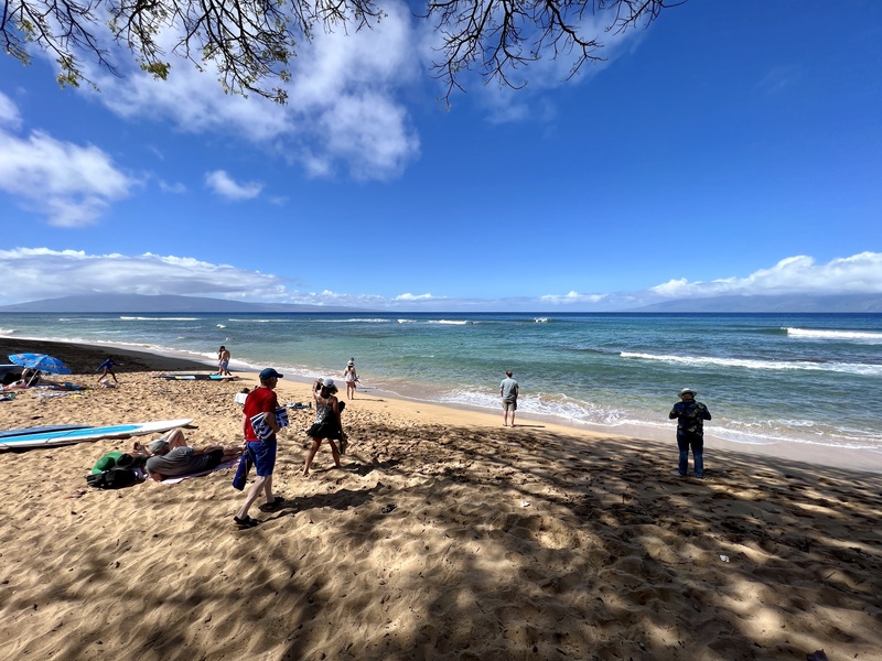 Relax under the shade as you enjoy a sunny day at the beach, with soft sand and clear blue waters stretching out before you.