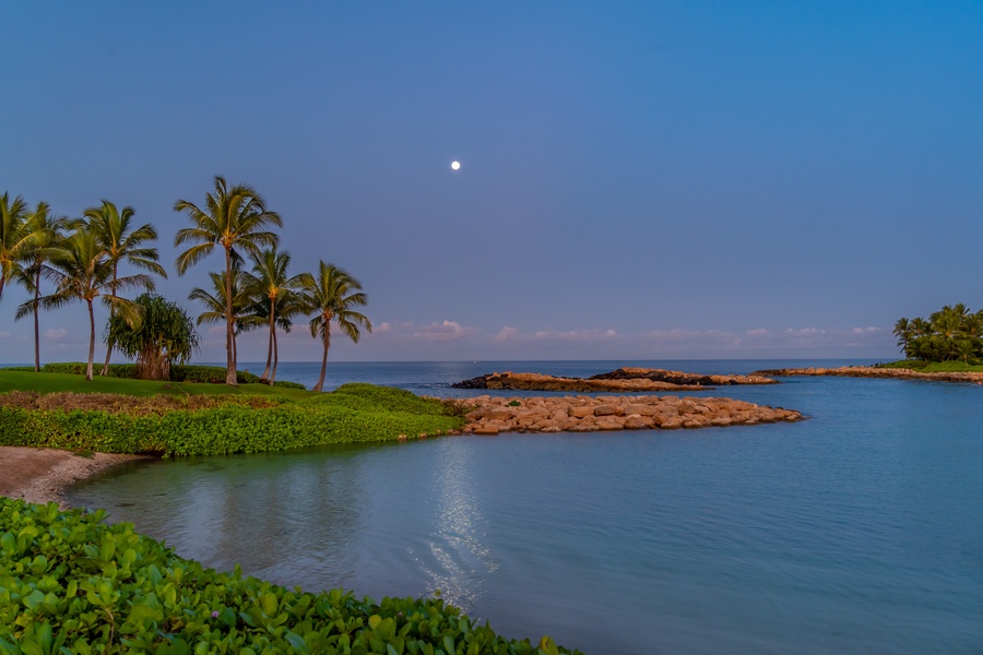 Tropical moonrise over protected lagoon with swaying palms and peaceful waters nearby.